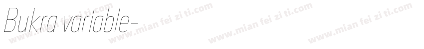 Bukra variable字体转换